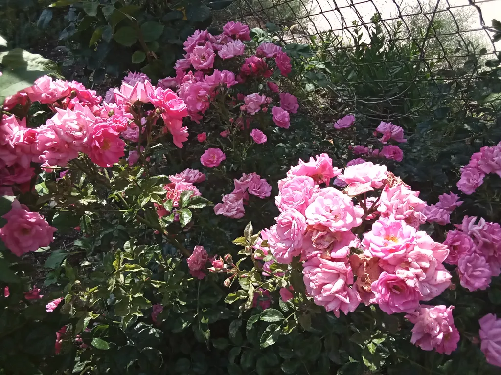 Дом под ключ