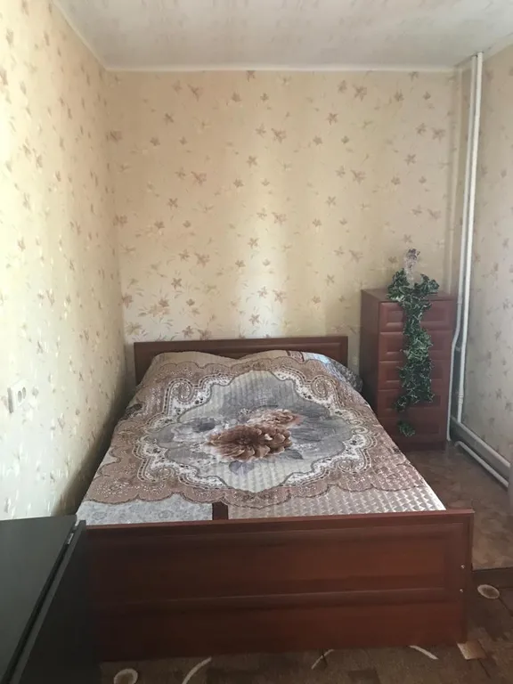 Квартира Уютная квартира около парка с фонтаном — Тихвин