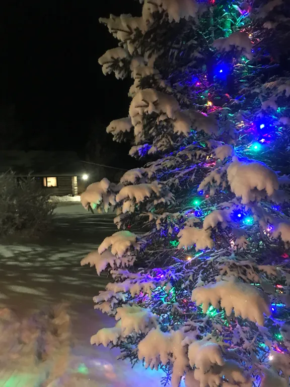 Эко-дом с роскошными видами на берегу озера