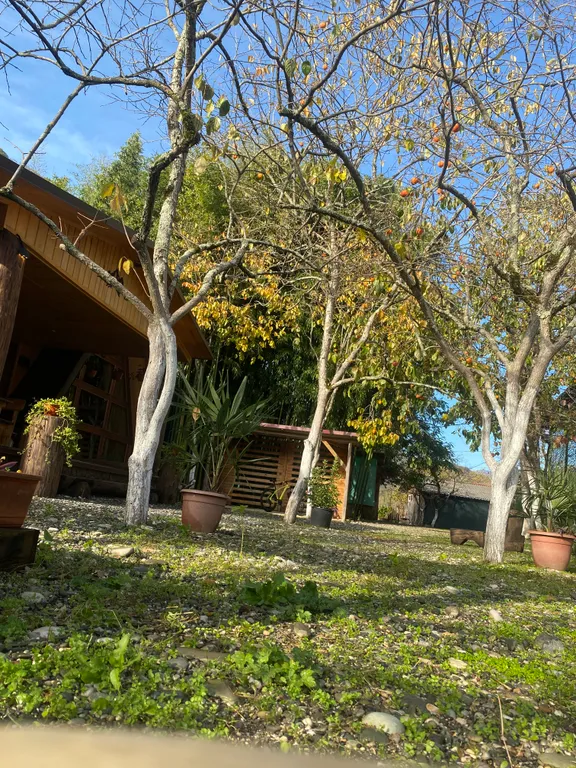 Коттедж 1-комнатный Дом — Гагра