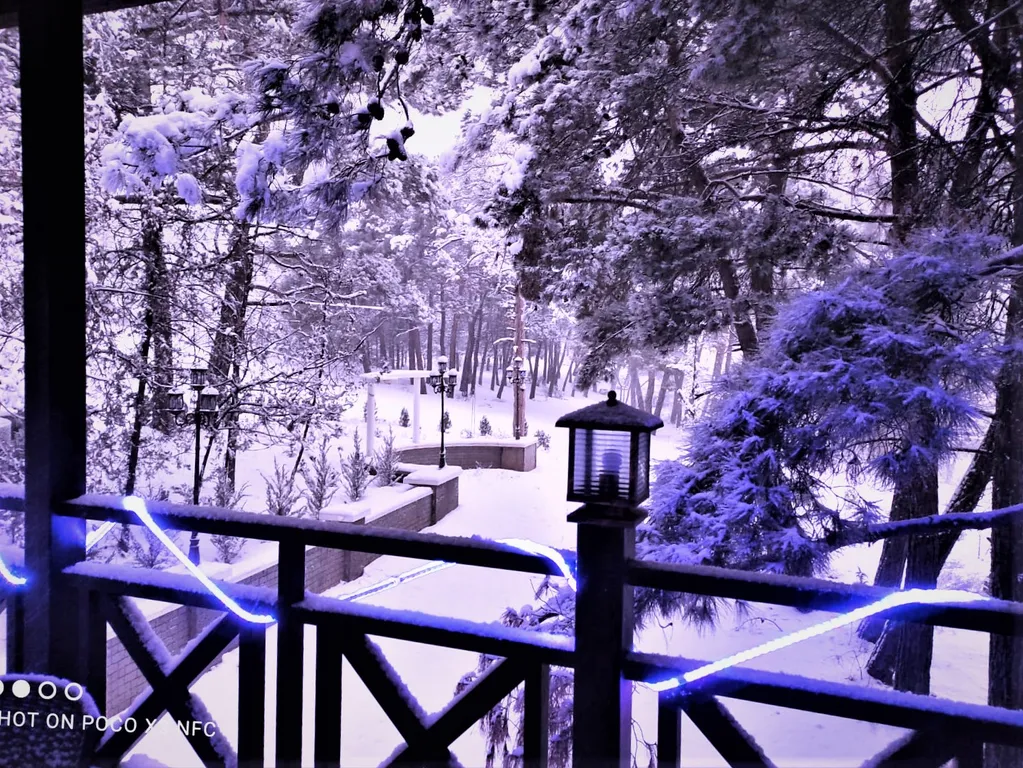 Вилла Сосновый Рай