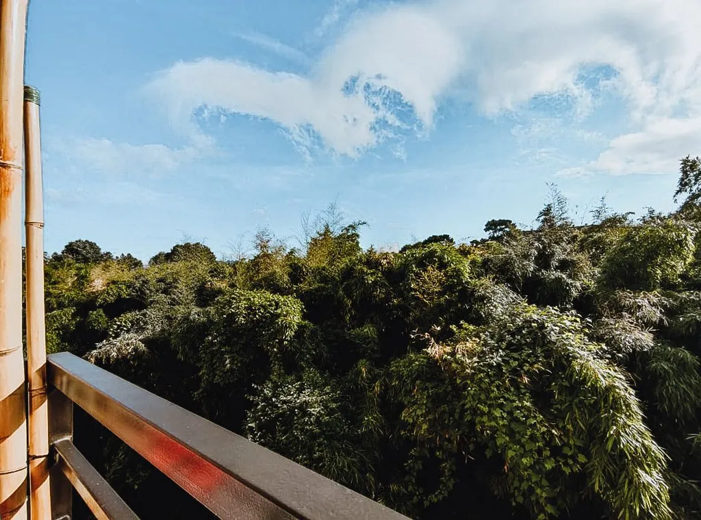 Квартира Уютная квартира с видом на Парк Южных Культур — Сириус