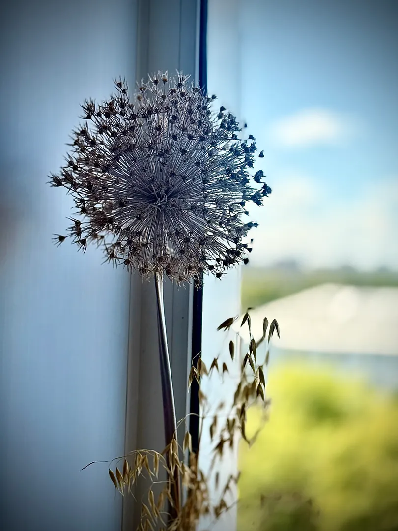 Фото