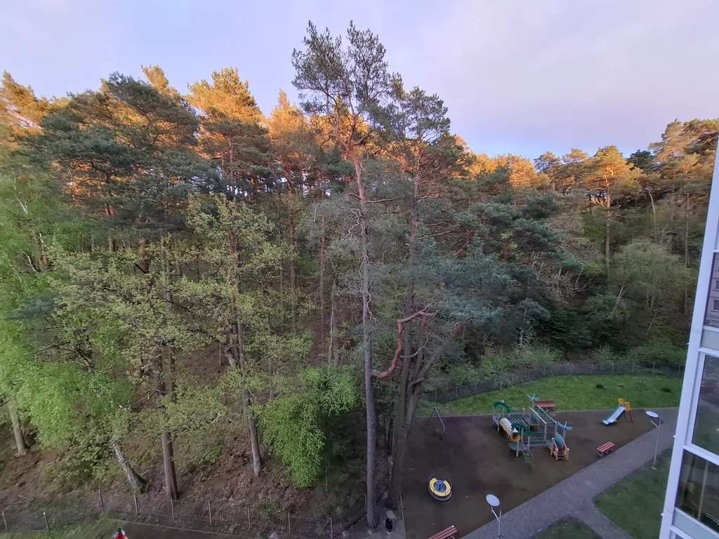 Квартира Квартира у озера с видом на лес — Светлогорск