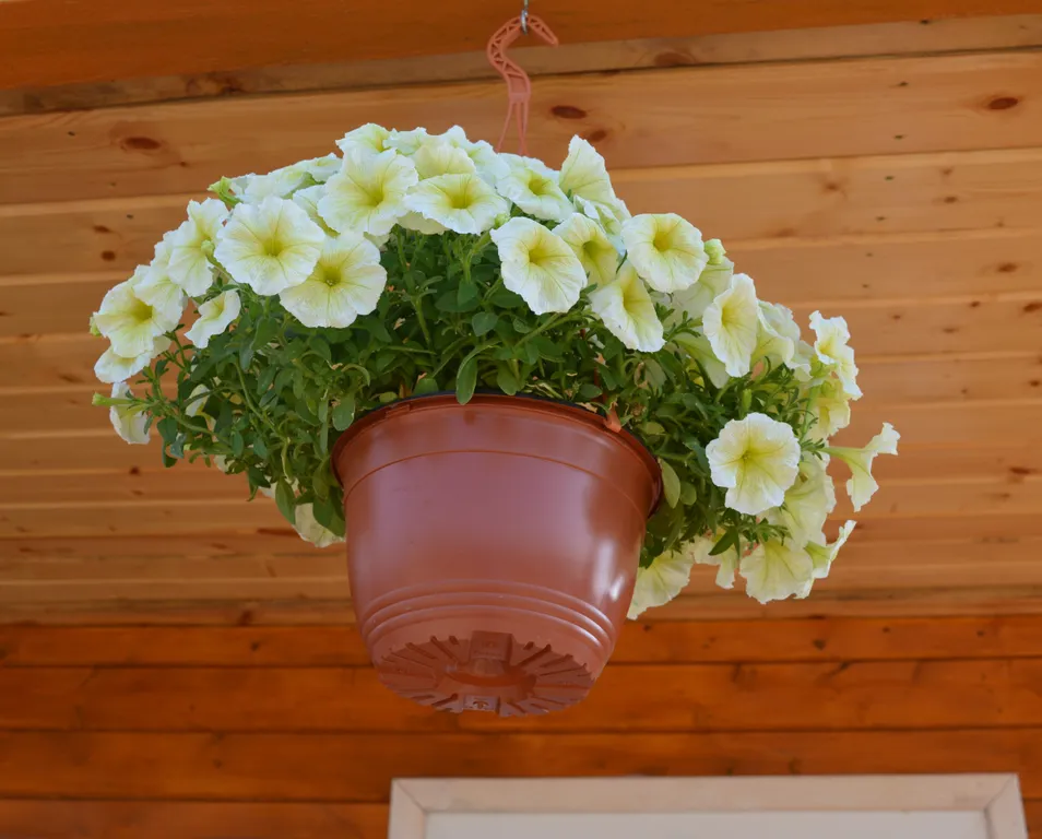 Квартира Квартира Двухкомнатный номер с кухней — Кучугуры