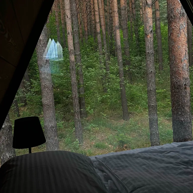 Дом с купелью и камином