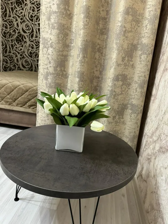 Уютная квартира в самом центре города