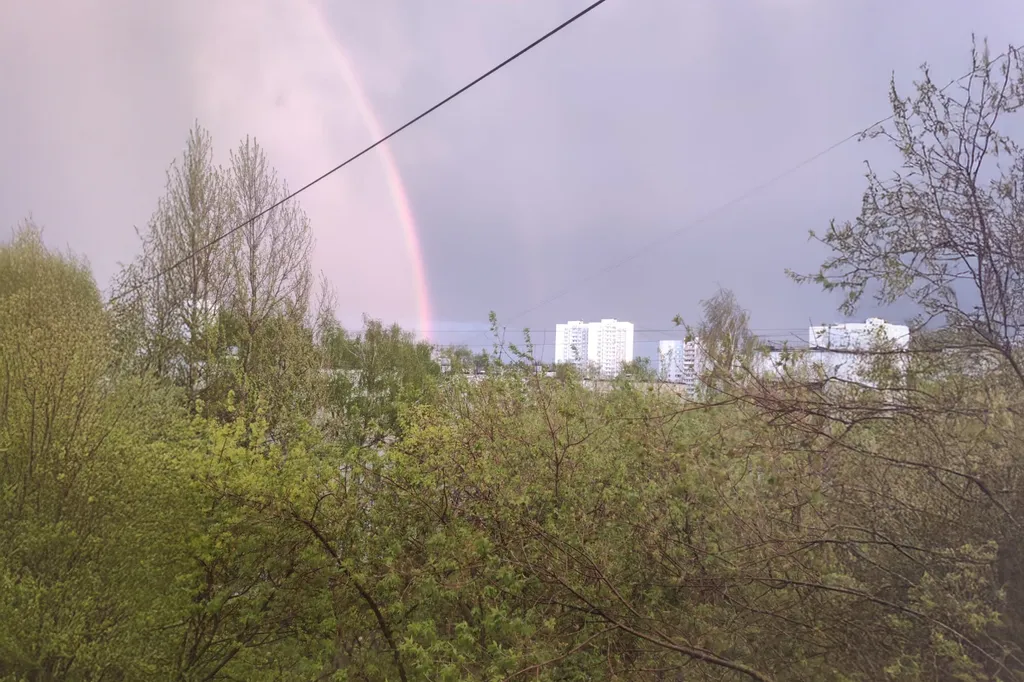 Квартира Стильная квартира у метро Беляево — Москва