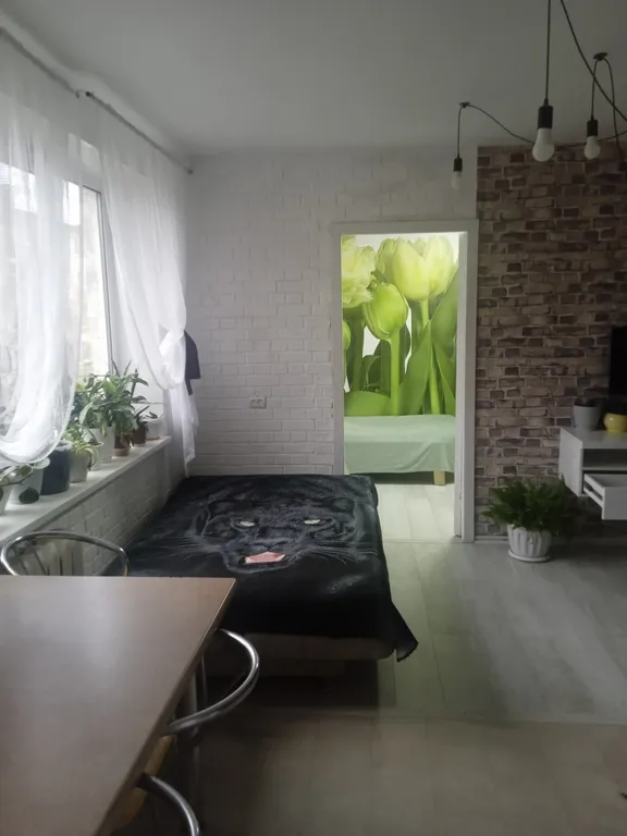 Квартира в пяти минутах от ледового дворца