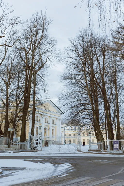 Квартира Апартаменты Александровские — Пушкин