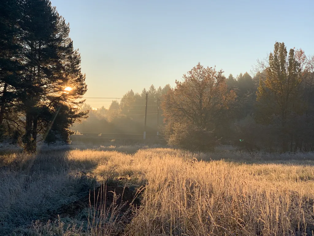 Новый уютный дом-баня с банным чаном у соснового леса
