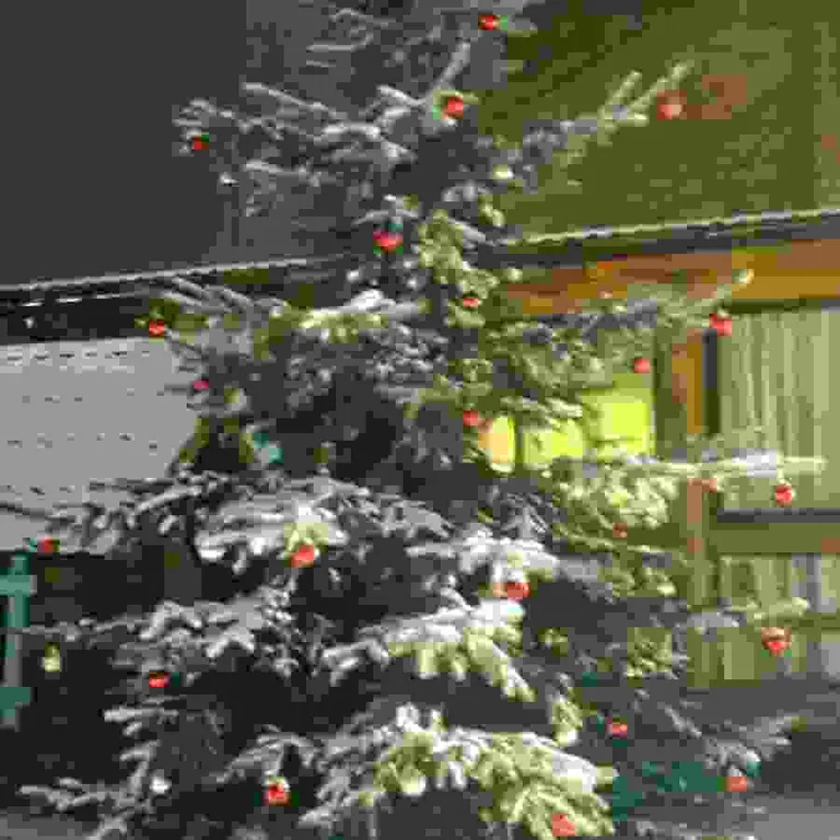 Дом мечты прямо у Минска усадьба Гринкевичи с баней, купелью и Wi-Fi