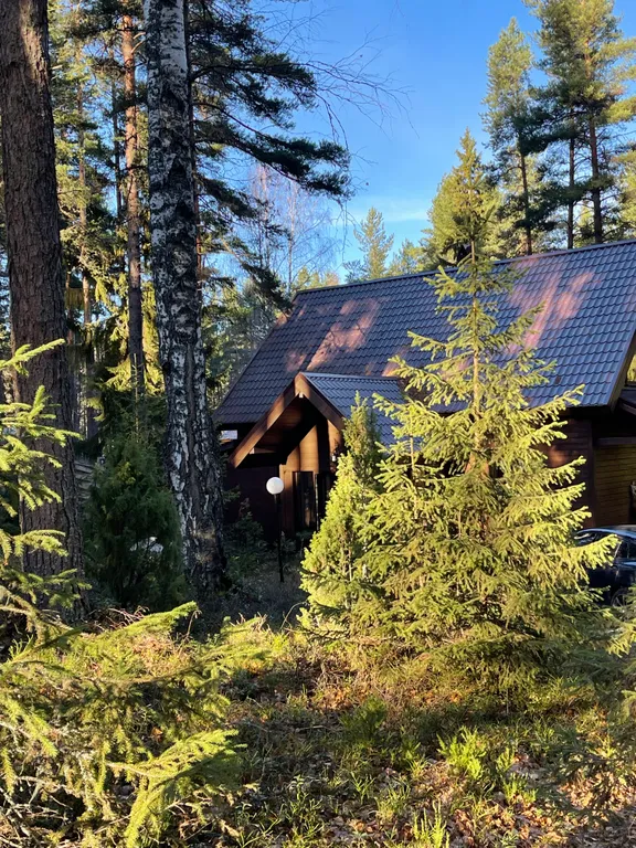 Коттедж Сосновое шале на берегу Сямозера — аренда посуточно в Алекка