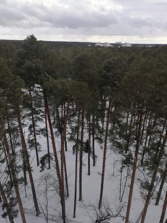 Квартира на Светлой