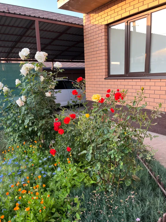 Тихий райский уголок