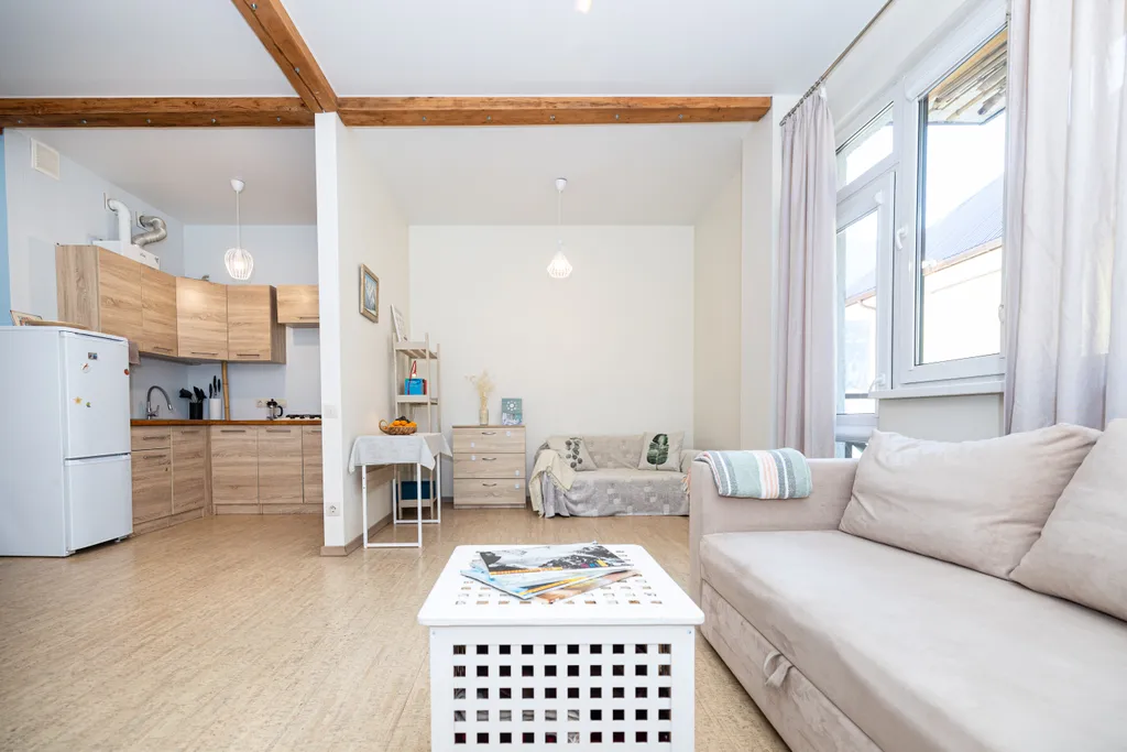 Просторная однокомнатная квартира