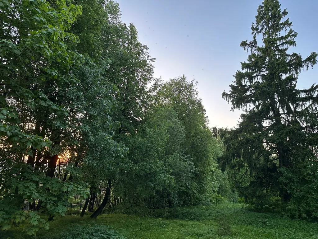 Коттедж Домик Хирви уютный коттедж на отдельном участке с вековыми деревьями — Москва