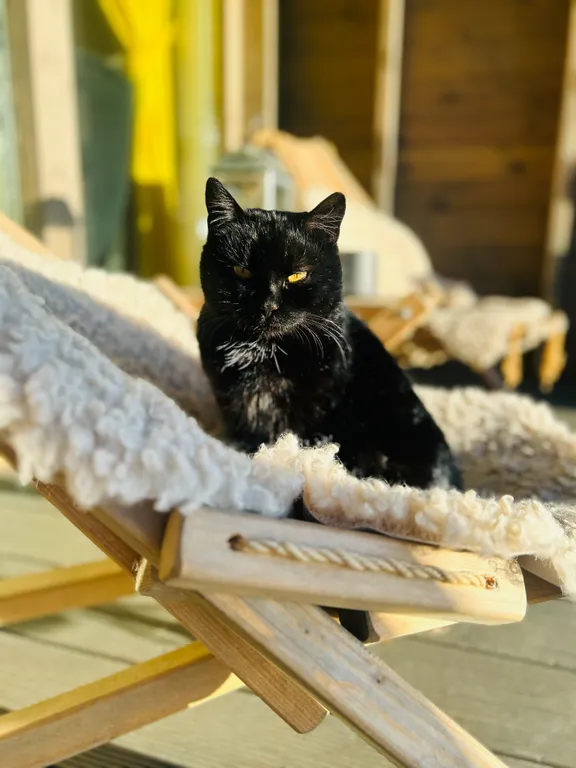 Amber Barn House от Letto House