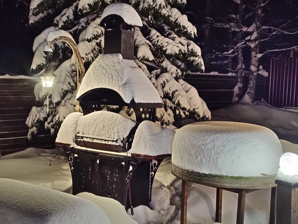 ХибиныДача Сруб