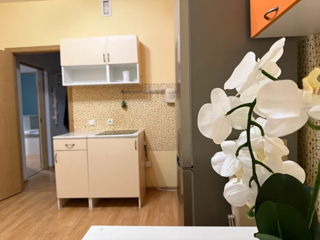 Евротрёшка на 9 гостей и 2 лоджии