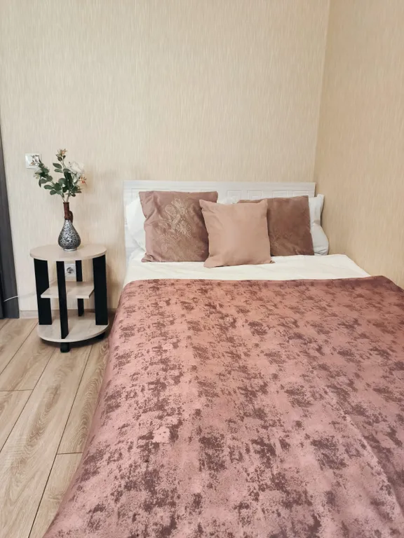 Чистая и уютная квартира — аренда посуточно в Рязань