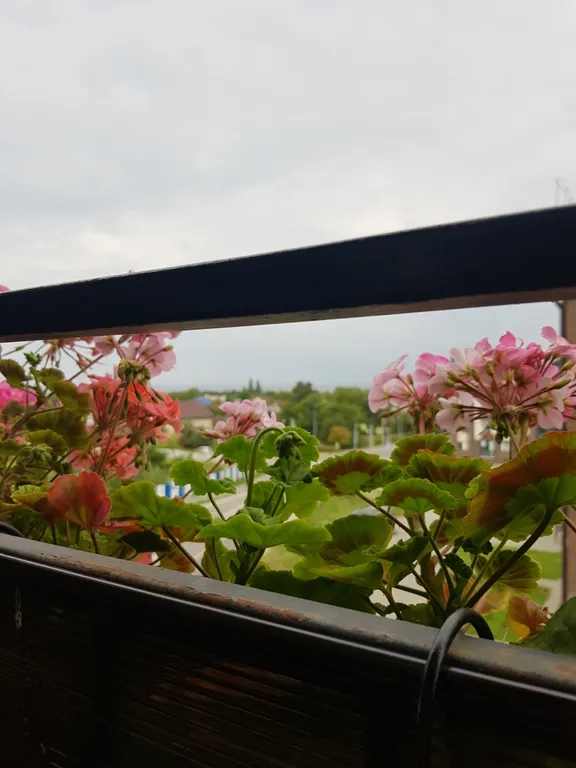 Уютная квартира с видом на море