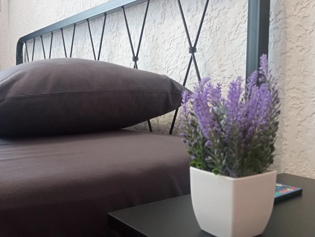 Евро2 лофт на Державинском с видом на восход солнца