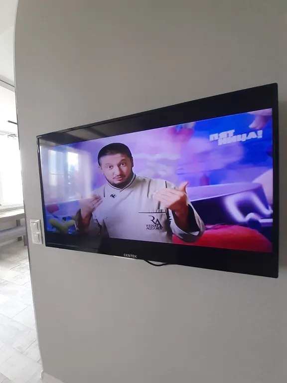 Квартира "тигрица"