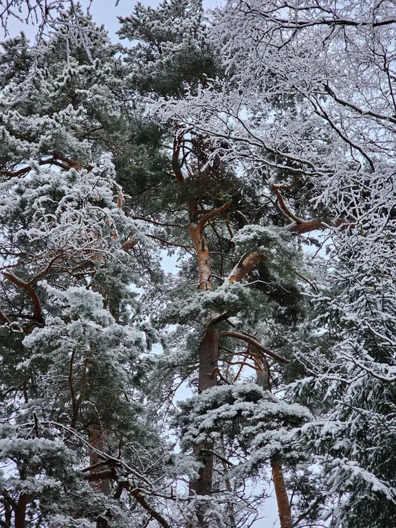 Коттедж Вилла Yksi c видом на озеро и зоной барбекю — Приозерск