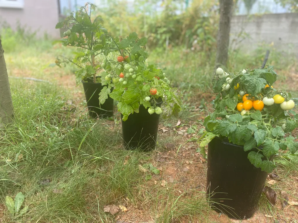 Коттедж Коттедж Дача с банькой в живописном лесу — Горячий Ключ