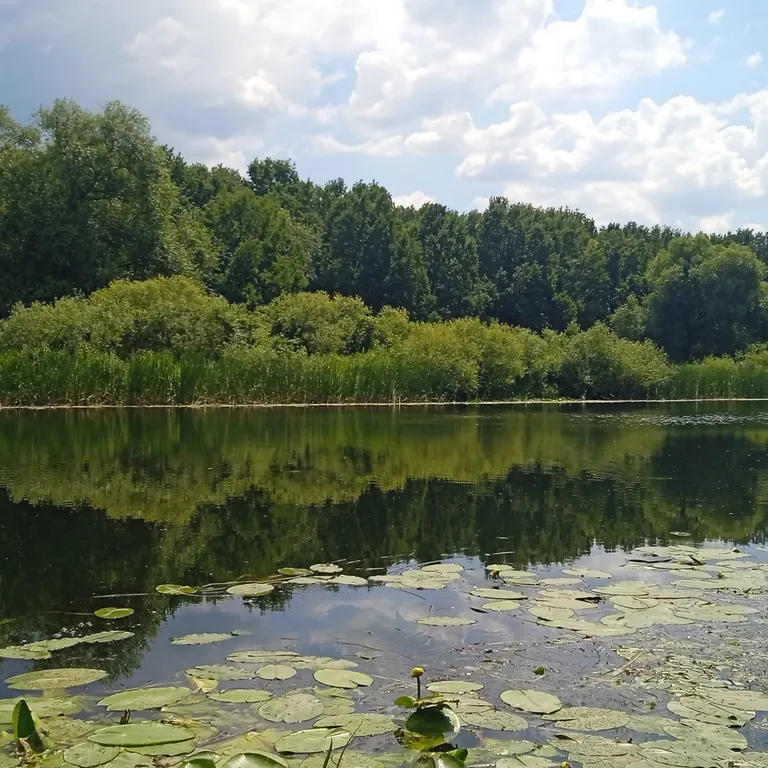 Тихий отдых