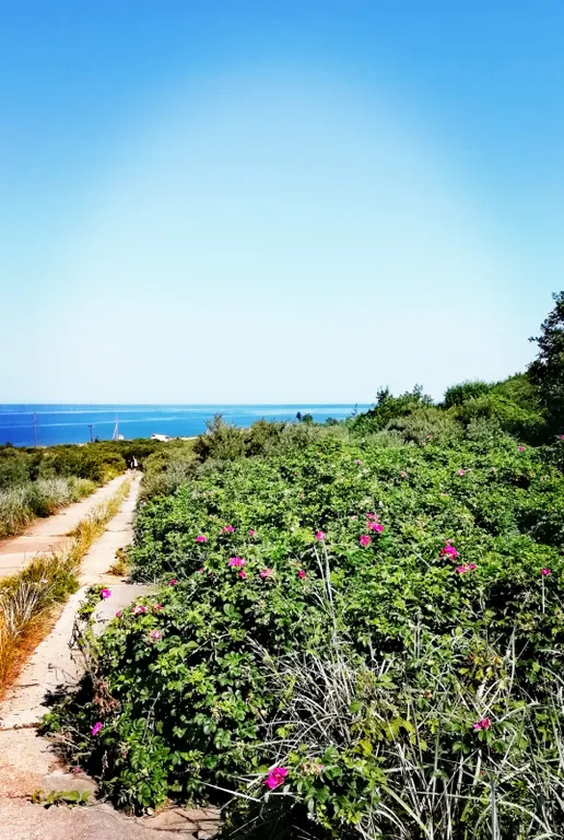 Апартаменты у моря