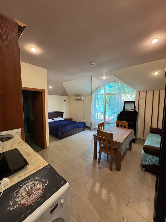 Квартира 1-комнатная Квартира — Адлер