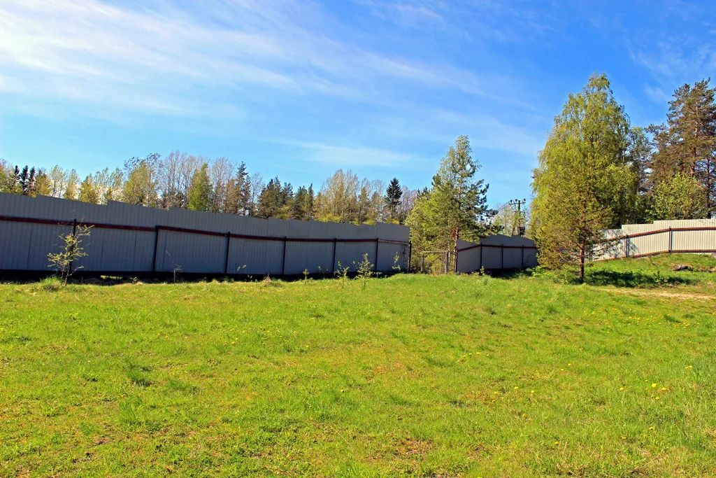 Ласточкино гнездо