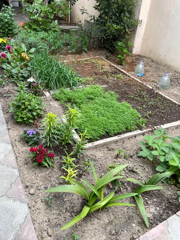 Уютный уголок в центре города