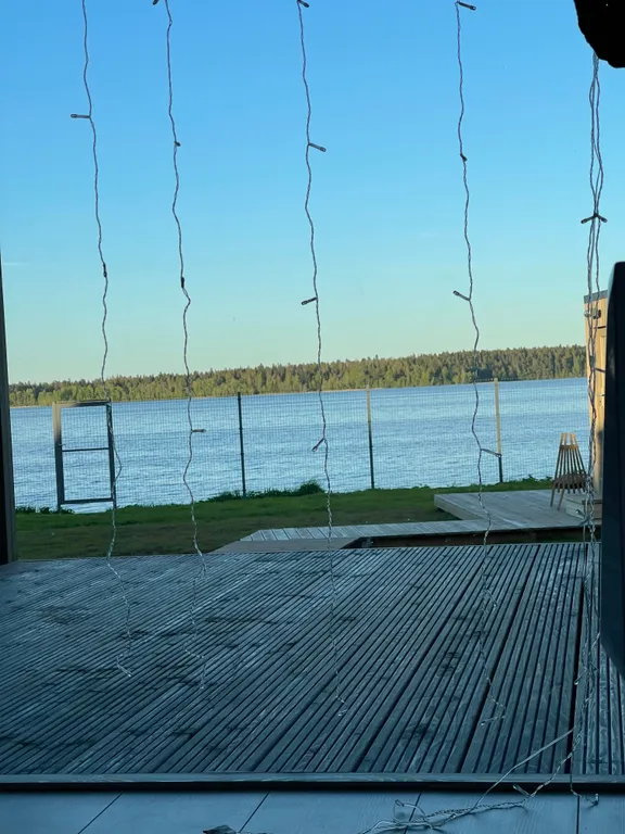 Белый кролик