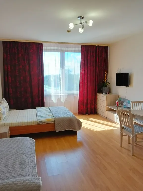 Квартира в центре города с видом на Покровскую башню и реку Великую