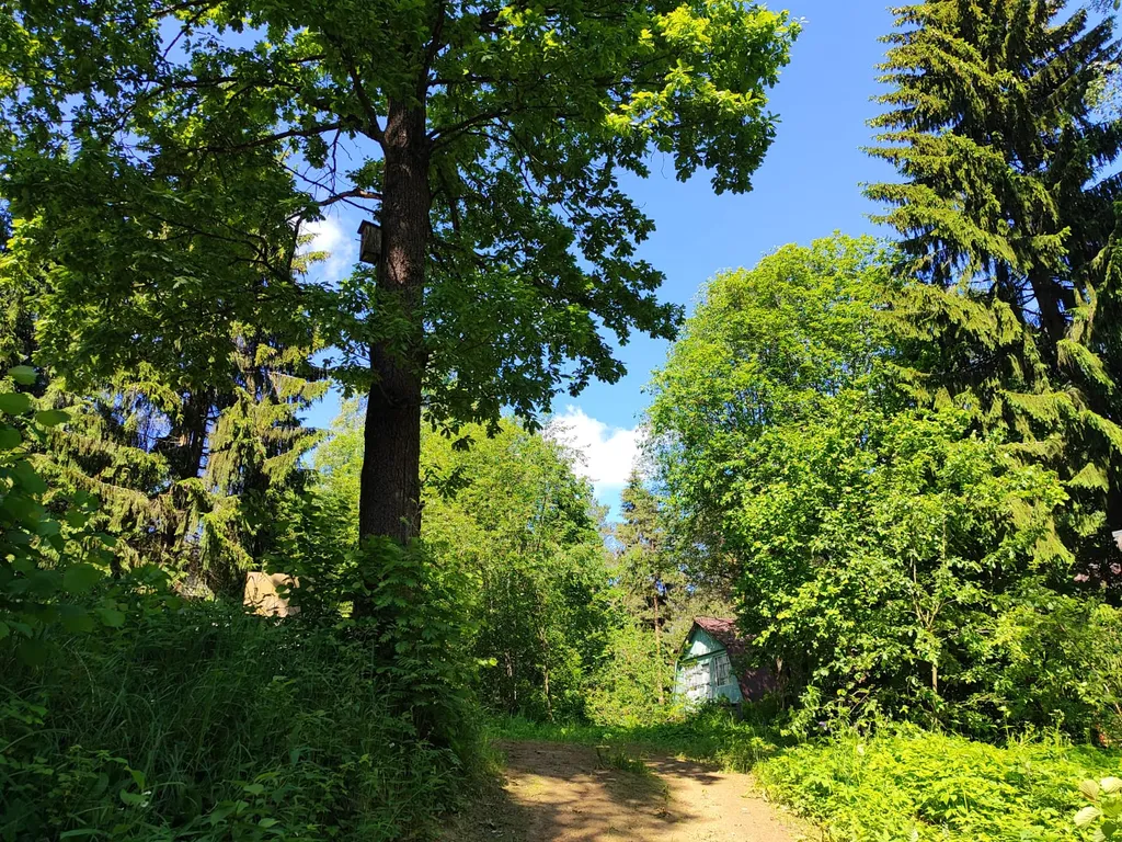 Уютный загородный дом