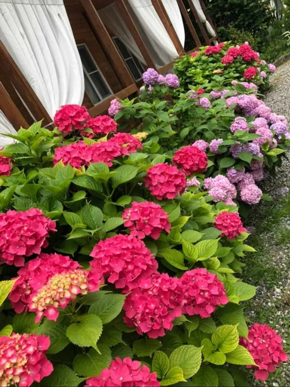 Коттедж Коттедж Quest hause Ahan — Гагра