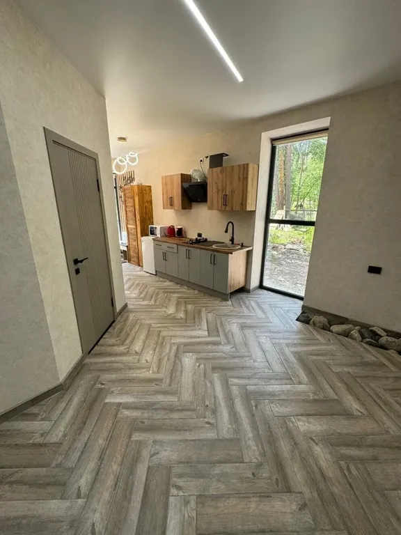 Люкс апартаменты "Kissлород" №1