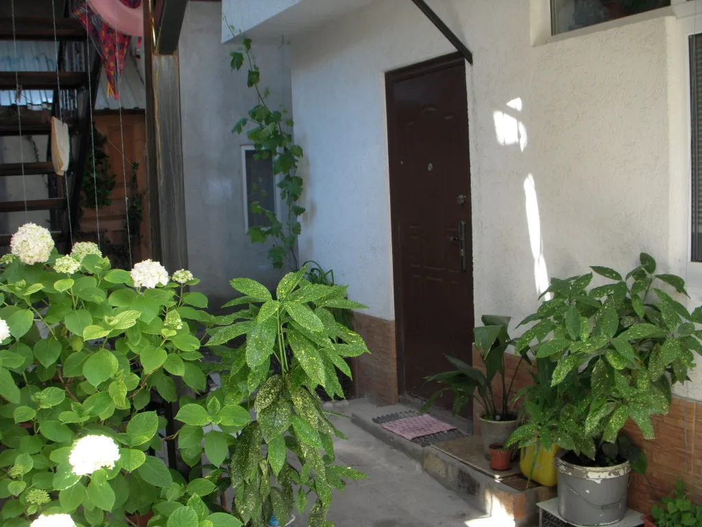 Коттедж Ялтинский дворик уютная 1к. Квартира рядом с приморским пляжем — Ялта