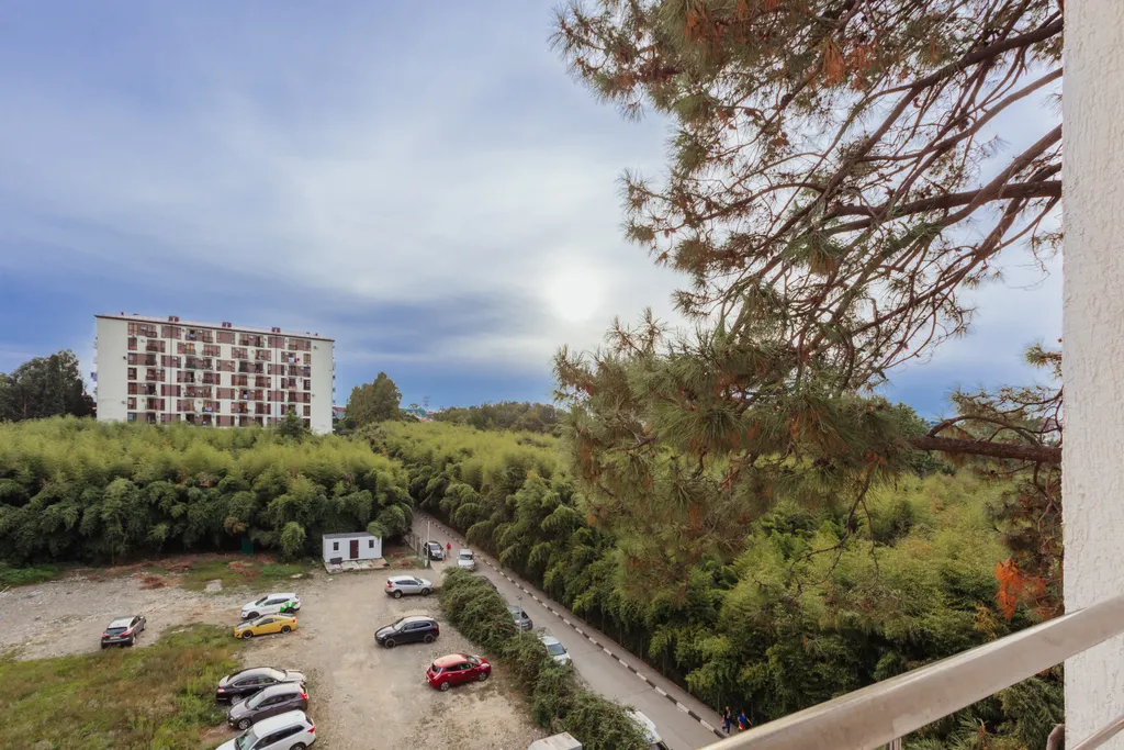 Квартира 1-комнатная Квартира — Сириус