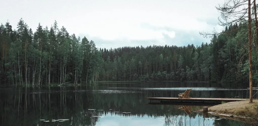 Коттедж комфорт класса с видом на лес