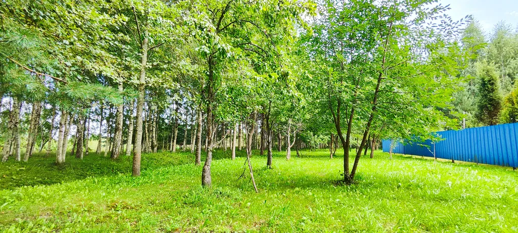 Уединенная дача с прудом и баней у Псковского озера