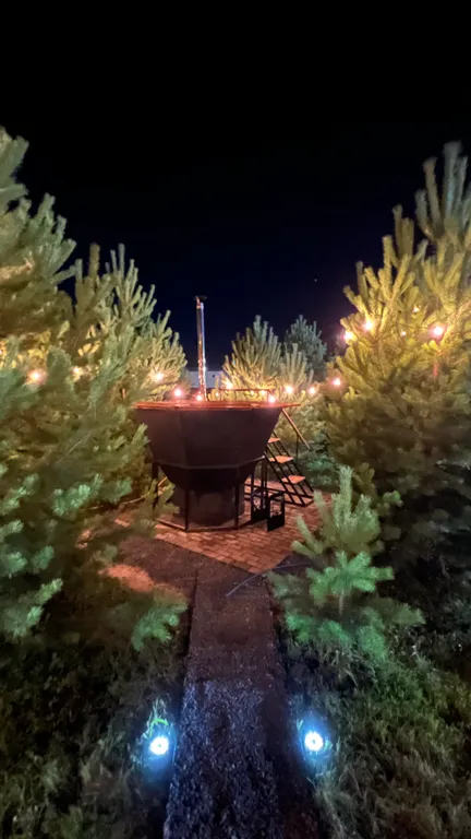 Панорамный дом с баней на дровах и чаном в окружении ёлок