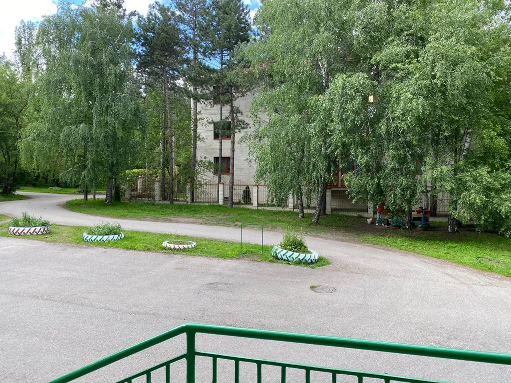 Уютная квартира с видом на липы и сосны