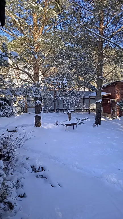 Охотничий дом с медведем на Ладоге