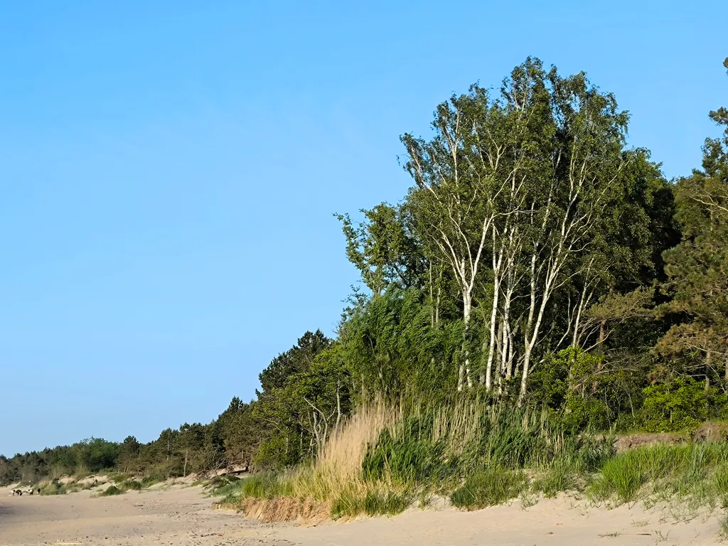 Отдых у моря