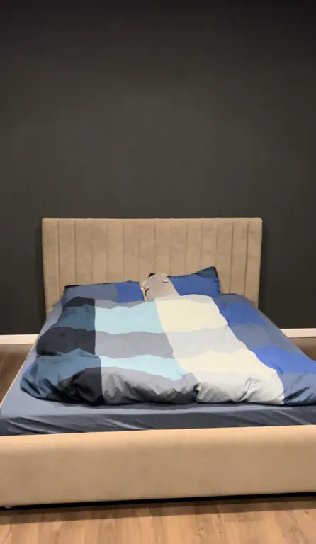 Лофт-апартаменты Индастриал на заводе Октябрь