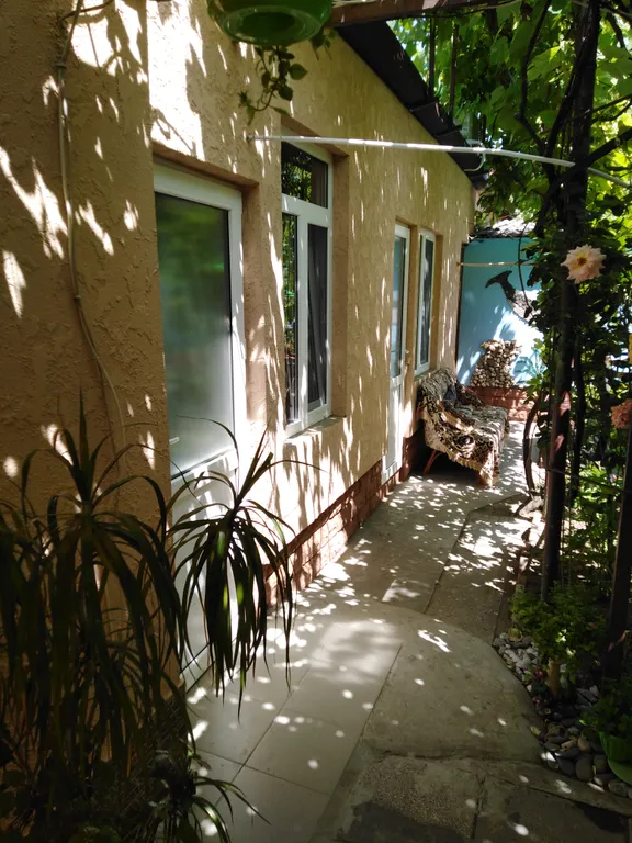 Комната в зелёном дворе